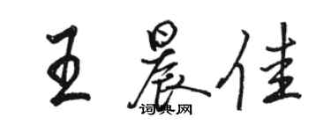 駱恆光王晨佳行書個性簽名怎么寫