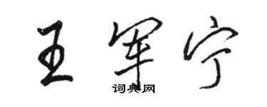 駱恆光王軍寧行書個性簽名怎么寫