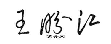 駱恆光王盼江草書個性簽名怎么寫