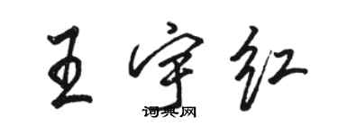 駱恆光王宇紅行書個性簽名怎么寫