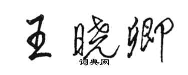 駱恆光王曉卿行書個性簽名怎么寫