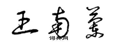 曾慶福王南蘭草書個性簽名怎么寫