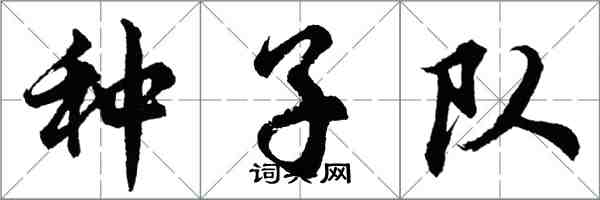 胡問遂種子隊行書怎么寫