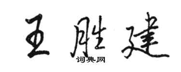 駱恆光王勝建行書個性簽名怎么寫