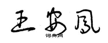 曾慶福王安鳳草書個性簽名怎么寫