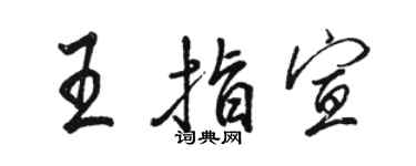 駱恆光王指宣行書個性簽名怎么寫