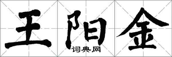 翁闓運王陽金楷書怎么寫