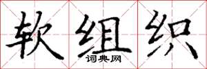 丁謙軟組織楷書怎么寫