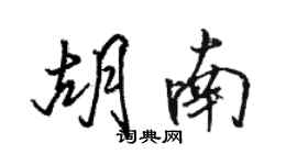 駱恆光胡南行書個性簽名怎么寫