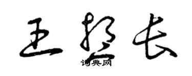 曾慶福王想長草書個性簽名怎么寫