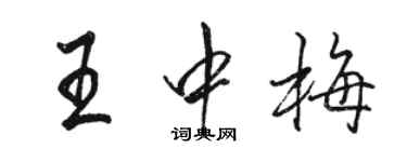 駱恆光王中梅行書個性簽名怎么寫