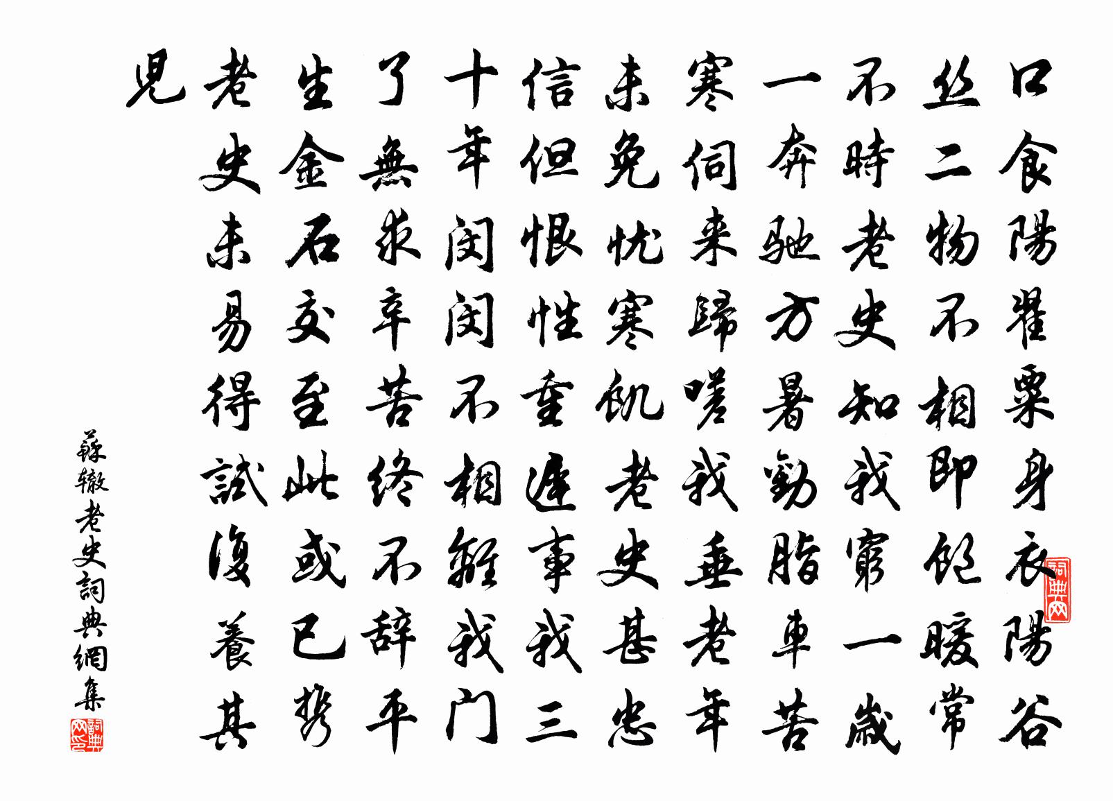 蘇轍老史書法作品欣賞