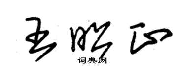 朱錫榮王昭正草書個性簽名怎么寫