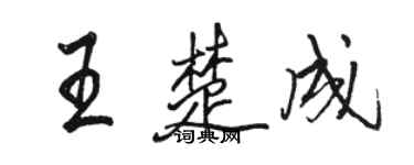 駱恆光王楚成行書個性簽名怎么寫