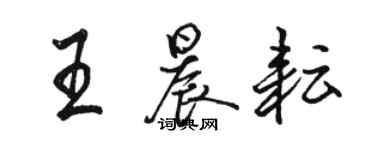 駱恆光王晨耘行書個性簽名怎么寫