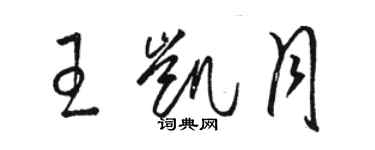 駱恆光王凱月草書個性簽名怎么寫