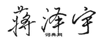 駱恆光蔣澤宇行書個性簽名怎么寫