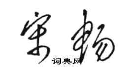 駱恆光宋暢草書個性簽名怎么寫