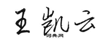 駱恆光王凱雲行書個性簽名怎么寫