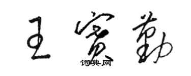 駱恆光王賽勤草書個性簽名怎么寫