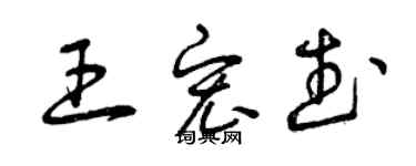 曾慶福王宏武草書個性簽名怎么寫