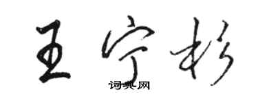 駱恆光王寧杉行書個性簽名怎么寫
