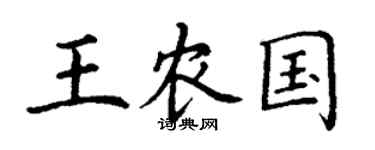 丁謙王農國楷書個性簽名怎么寫