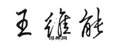 駱恆光王維能行書個性簽名怎么寫