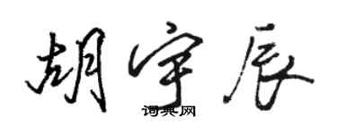 駱恆光胡宇辰行書個性簽名怎么寫