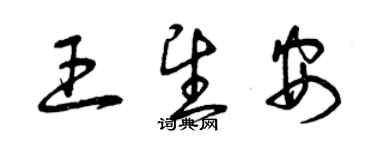 曾慶福王望安草書個性簽名怎么寫