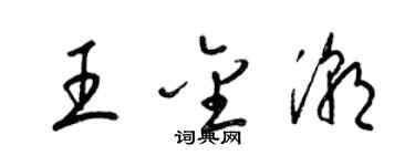 梁錦英王金潮草書個性簽名怎么寫