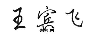 駱恆光王賓飛行書個性簽名怎么寫