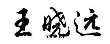 胡問遂王曉遠行書個性簽名怎么寫