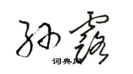 駱恆光孫露草書個性簽名怎么寫