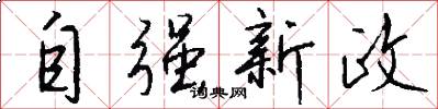 自強新政怎么寫好看
