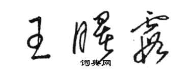 駱恆光王曙霞草書個性簽名怎么寫