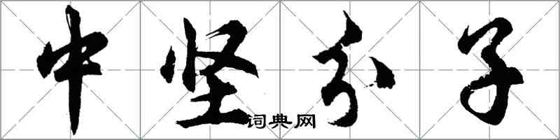 胡問遂中堅分子行書怎么寫