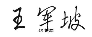 駱恆光王軍坡行書個性簽名怎么寫