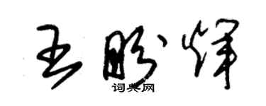 朱錫榮王盼輝草書個性簽名怎么寫