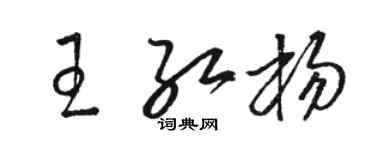 駱恆光王紅楊草書個性簽名怎么寫