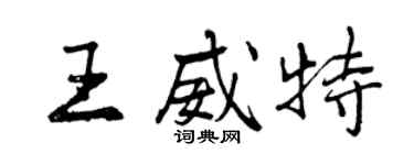 曾慶福王威特行書個性簽名怎么寫