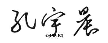 駱恆光孔宇晨草書個性簽名怎么寫