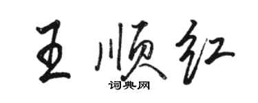 駱恆光王順紅行書個性簽名怎么寫
