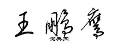 梁錦英王鵬鷹草書個性簽名怎么寫