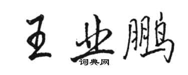 駱恆光王業鵬行書個性簽名怎么寫