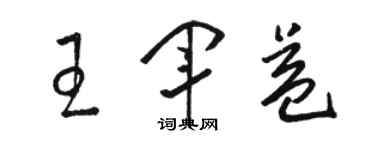 駱恆光王軍益草書個性簽名怎么寫