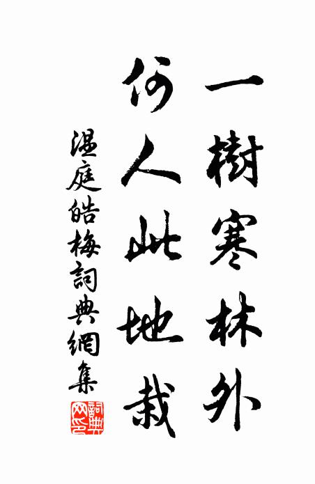 莫管錢流地，且擬醉黃花 詩詞名句