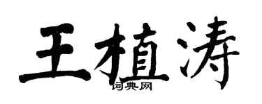翁闓運王植濤楷書個性簽名怎么寫