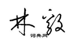 梁錦英林毅草書個性簽名怎么寫