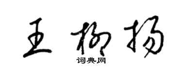 梁錦英王柳揚草書個性簽名怎么寫